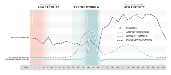 Mira Fertility Starter Kit - Image 2